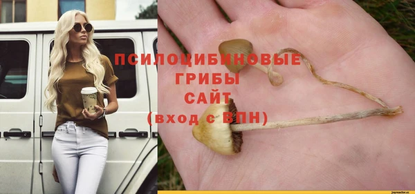 шишки Козельск