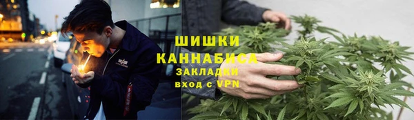 шишки Козельск