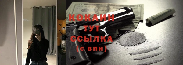 шишки Козельск