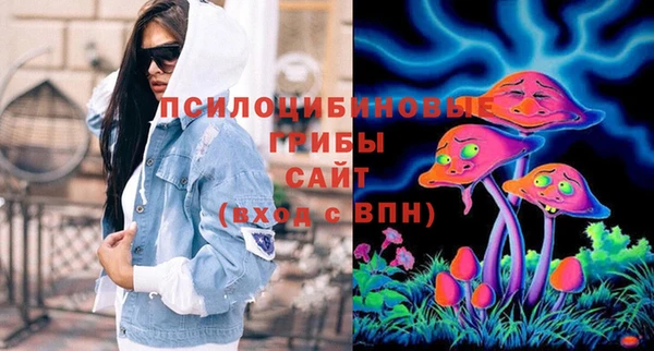 прущие крисы Кодинск