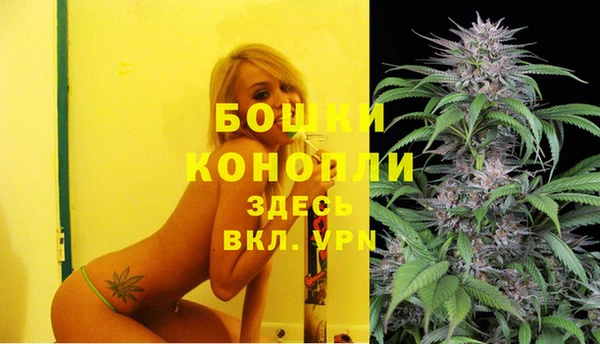 шишки Козельск