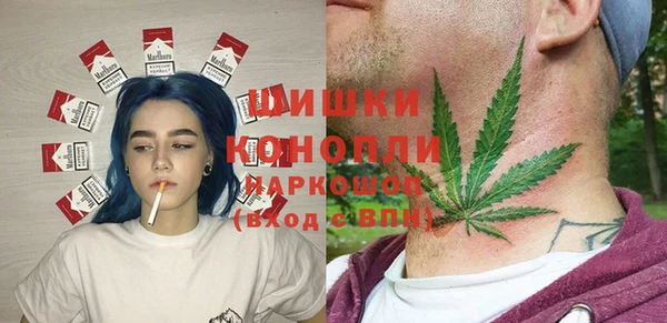 шишки Козельск