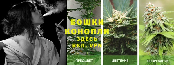прущие крисы Кодинск