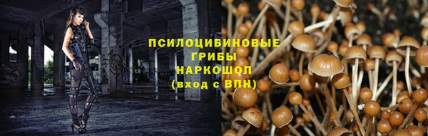 шишки Козельск